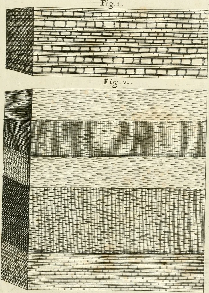 An illustration from Vetera monimenta : in quibus praecipuè musiva opera sacarum profanarumque aedium structura, ac nonnulli antiqui ritus, dissertationibus, iconibusque illustrantur, 1690, leaf 150