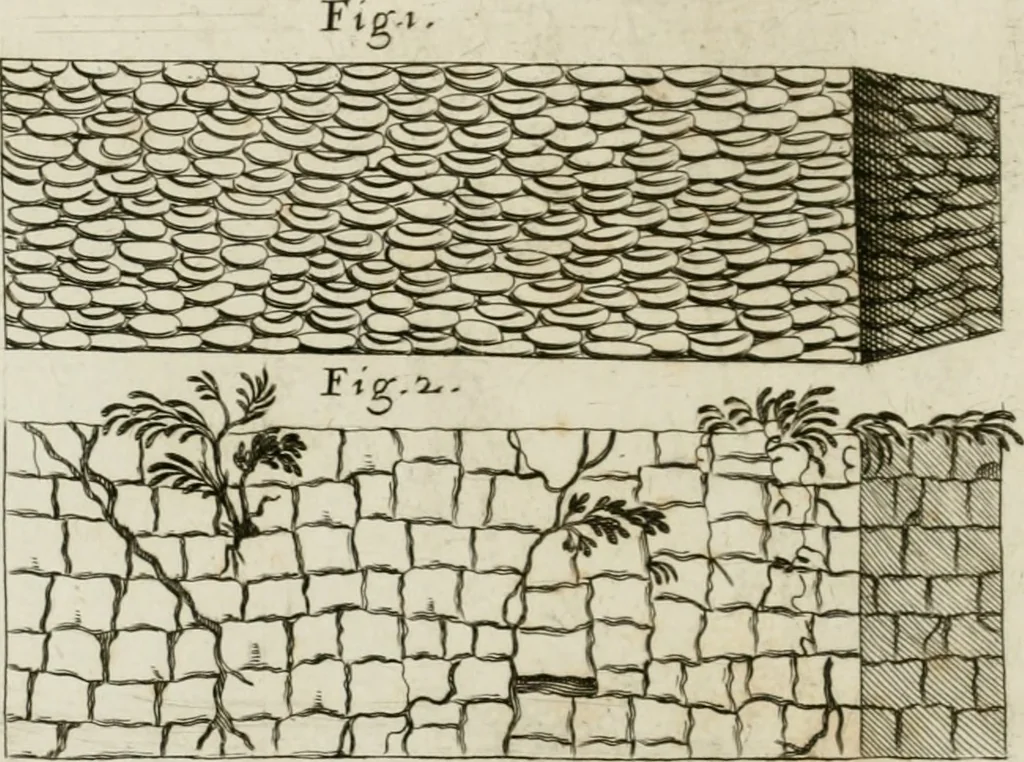 An illustration from Vetera monimenta : in quibus praecipuè musiva opera sacarum profanarumque aedium structura, ac nonnulli antiqui ritus, dissertationibus, iconibusque illustrantur, 1690, leaf 153