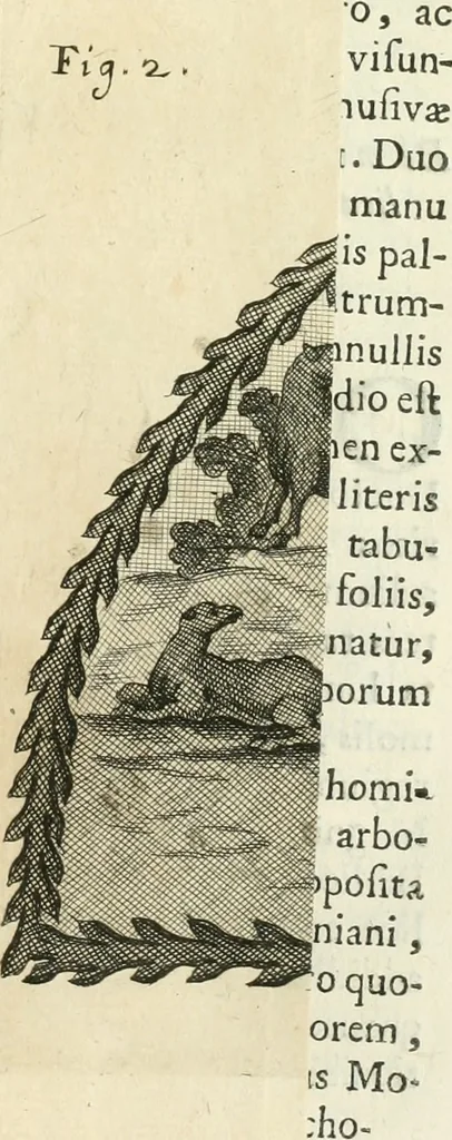 An illustration from Vetera monimenta : in quibus praecipuè musiva opera sacarum profanarumque aedium structura, ac nonnulli antiqui ritus, dissertationibus, iconibusque illustrantur, 1690, leaf 384