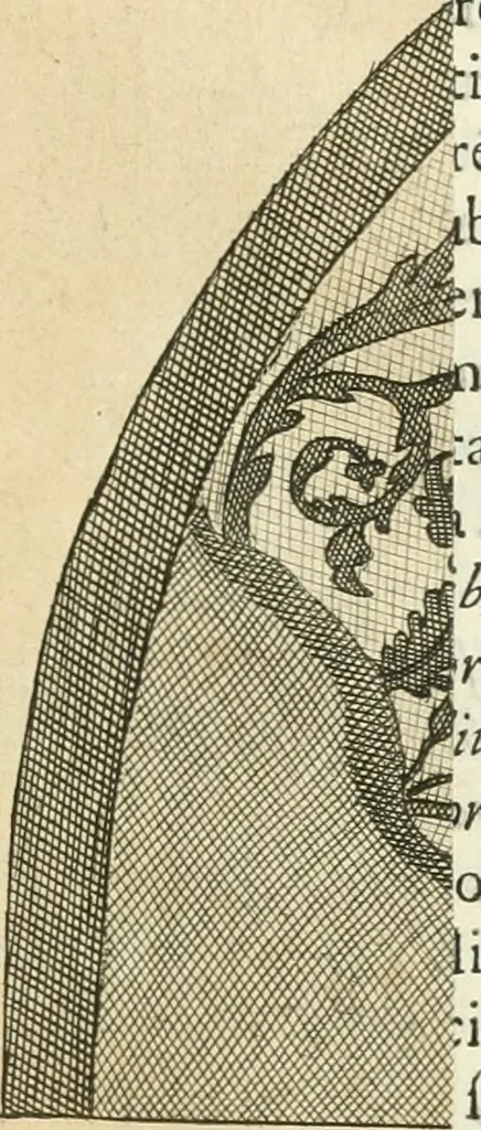An illustration from Vetera monimenta : in quibus praecipuè musiva opera sacarum profanarumque aedium structura, ac nonnulli antiqui ritus, dissertationibus, iconibusque illustrantur, 1690, leaf 386