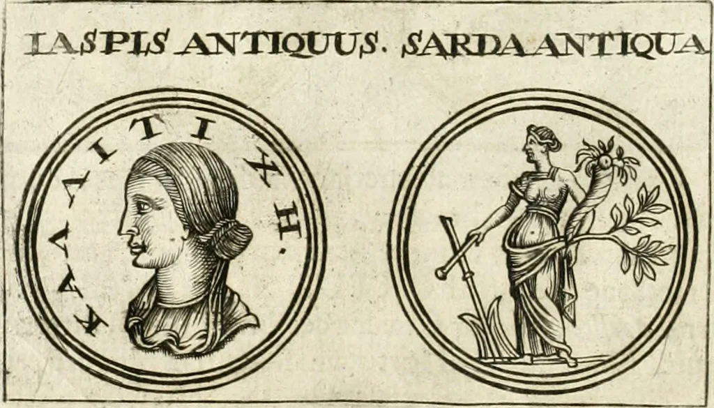 An illustration from Veterum Romanorum Religio castrametatio, disciplina militaris ut & balneae ex antiquis numismatibus & lapidibus demonstrata, 1686, leaf 195