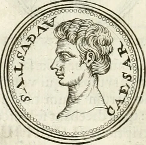 An illustration from Veterum Romanorum Religio castrametatio, disciplina militaris ut & balneae ex antiquis numismatibus & lapidibus demonstrata, 1686, leaf 203