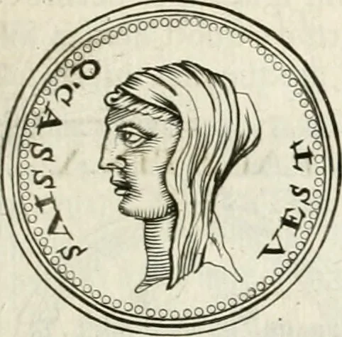 An illustration from Veterum Romanorum Religio castrametatio, disciplina militaris ut & balneae ex antiquis numismatibus & lapidibus demonstrata, 1686, leaf 208
