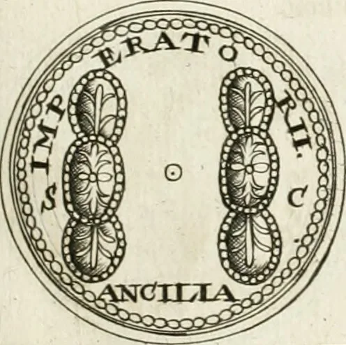 An illustration from Veterum Romanorum Religio castrametatio, disciplina militaris ut & balneae ex antiquis numismatibus & lapidibus demonstrata, 1686, leaf 226