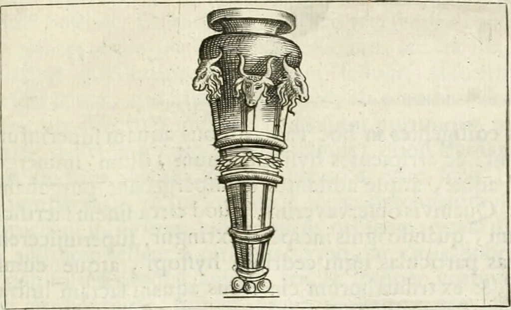 An illustration from Veterum Romanorum Religio castrametatio, disciplina militaris ut & balneae ex antiquis numismatibus & lapidibus demonstrata, 1686, leaf 250