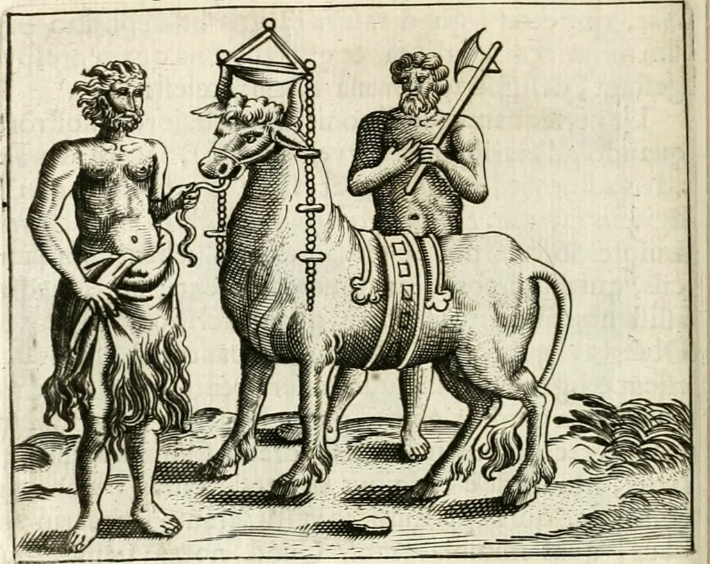 An illustration from Veterum Romanorum Religio castrametatio, disciplina militaris ut & balneae ex antiquis numismatibus & lapidibus demonstrata, 1686, leaf 259