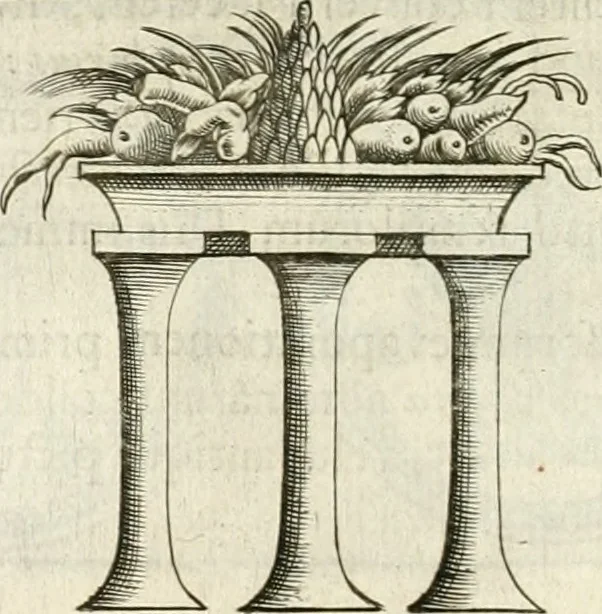 An illustration from Veterum Romanorum Religio castrametatio, disciplina militaris ut & balneae ex antiquis numismatibus & lapidibus demonstrata, 1686, leaf 263