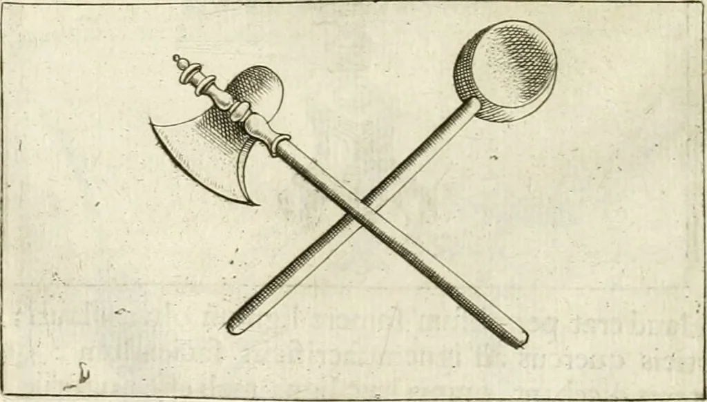 An illustration from Veterum Romanorum Religio castrametatio, disciplina militaris ut & balneae ex antiquis numismatibus & lapidibus demonstrata, 1686, leaf 267
