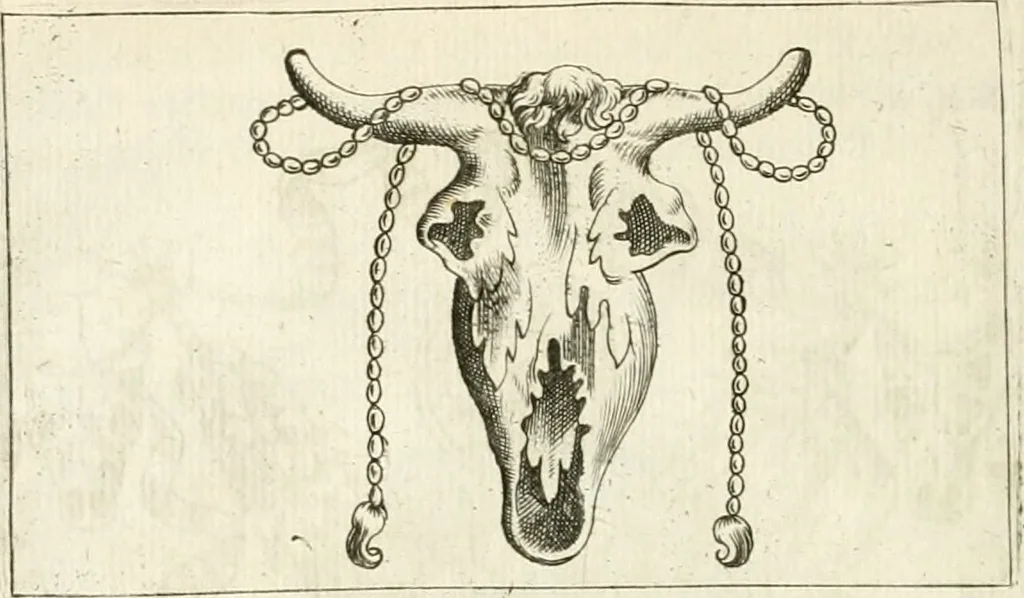 An illustration from Veterum Romanorum Religio castrametatio, disciplina militaris ut & balneae ex antiquis numismatibus & lapidibus demonstrata, 1686, leaf 273