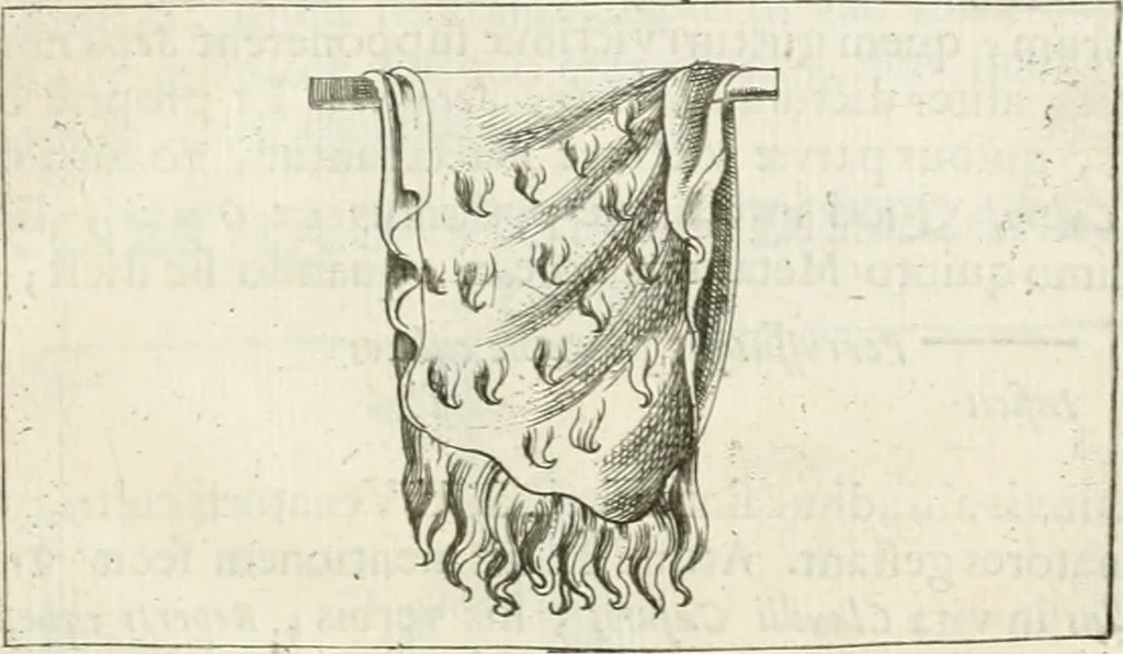 An illustration from Veterum Romanorum Religio castrametatio, disciplina militaris ut & balneae ex antiquis numismatibus & lapidibus demonstrata, 1686, leaf 274