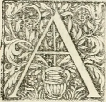 An illustration from Veterum Romanorum Religio castrametatio, disciplina militaris ut & balneae ex antiquis numismatibus & lapidibus demonstrata, 1686, leaf 408