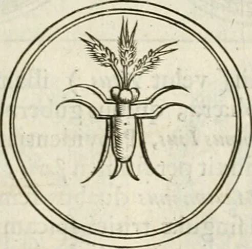 An illustration from Veterum Romanorum Religio castrametatio, disciplina militaris ut & balneae ex antiquis numismatibus & lapidibus demonstrata, 1686, leaf 72