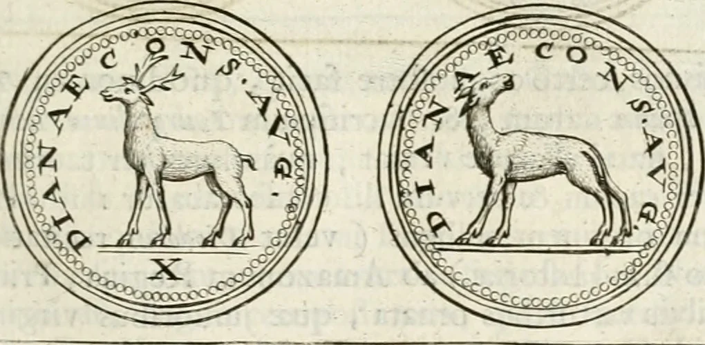 An illustration from Veterum Romanorum Religio castrametatio, disciplina militaris ut & balneae ex antiquis numismatibus & lapidibus demonstrata, 1686, leaf 88