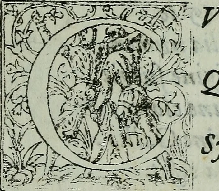 An illustration from Vgolini Verini poetae Florentini De illustratione vrbis Florentiae libri tres, 1636, leaf 16