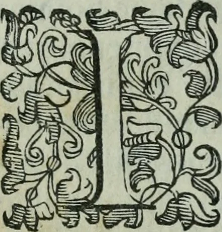 An illustration from Vgolini Verini poetae Florentini De illustratione vrbis Florentiae libri tres, 1636, leaf 21