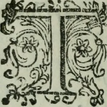 An illustration from Vgolini Verini poetae Florentini De illustratione vrbis Florentiae libri tres, 1636, leaf 43