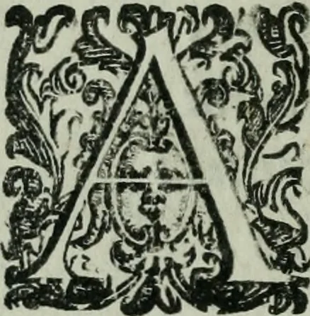 An illustration from Vgolini Verini poetae Florentini De illustratione vrbis Florentiae libri tres, 1636, leaf 65