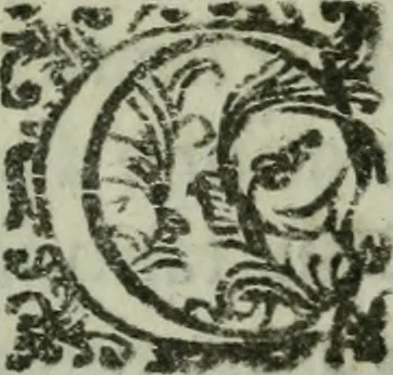 An illustration from Vgolini Verini poetae Florentini De illustratione vrbis Florentiae libri tres, 1636, leaf 7