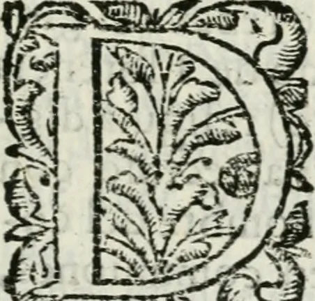 An illustration from Viage de la serenissima reyna Doña Maria Ana de Austria, segunda muger de Don Philipe Quarto deste nombre, Rey Catholico de Hespaña, hasta la real corte de Madrid, desde la imperial de Viena, 1650, leaf 222