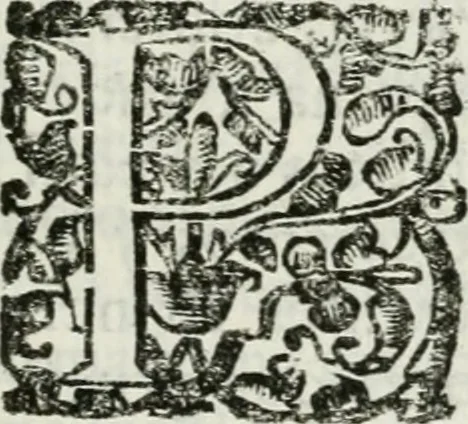 An illustration from Viage de la serenissima reyna Doña Maria Ana de Austria, segunda muger de Don Philipe Quarto deste nombre, Rey Catholico de Hespaña, hasta la real corte de Madrid, desde la imperial de Viena, 1650, leaf 270