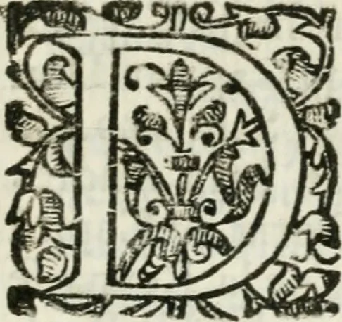 An illustration from Viage de la serenissima reyna Doña Maria Ana de Austria, segunda muger de Don Philipe Quarto deste nombre, Rey Catholico de Hespaña, hasta la real corte de Madrid, desde la imperial de Viena, 1650, leaf 328