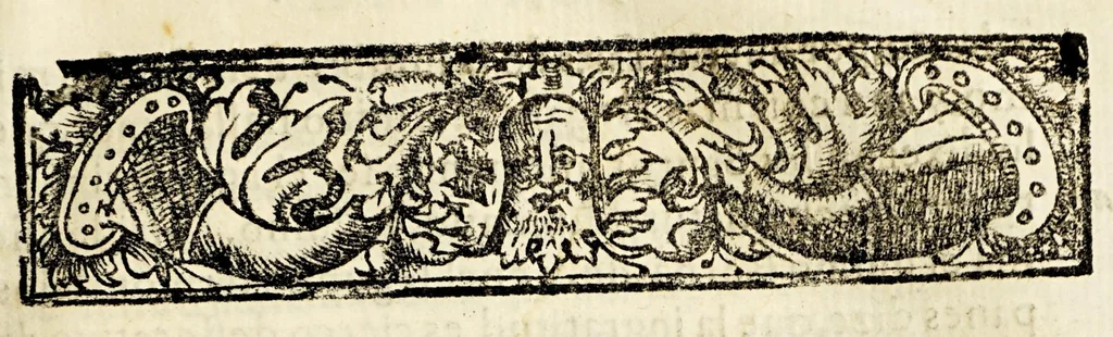 An illustration from Viage del mundo., 1614, leaf 25