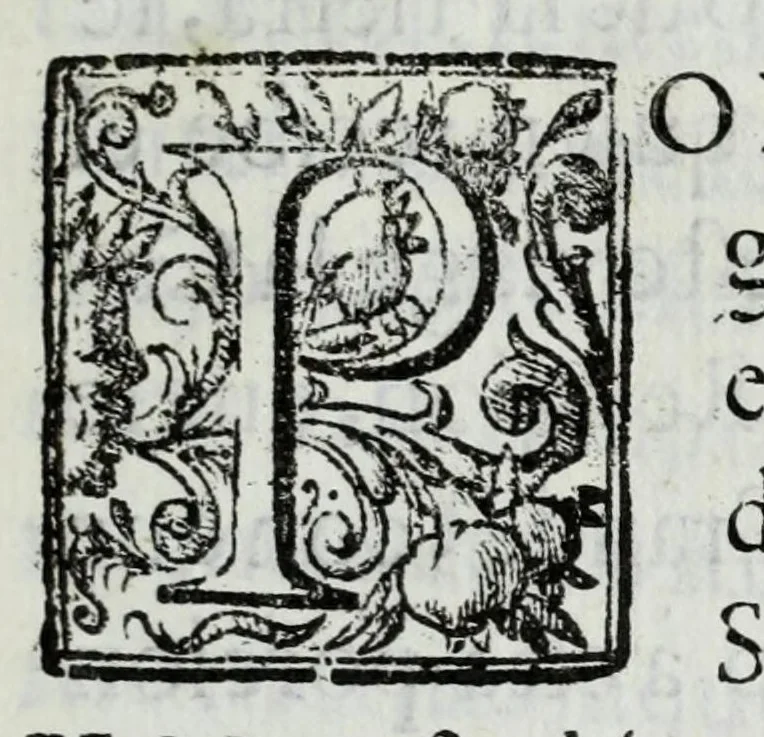 An illustration from Viage del rey nuestro señor don Felipe Quarto el Grande, a la frontera de Francia : funciones reales, del desposorio, y entregas de la serenissima señora infante de España doña Maria Teresa de Austria : vistas de Sus Magestades catolica y christianissima, señora reyna christianissima madre, y señor duque de Anjou : solemne iuramento de la paz, y sucessos de ida, y buelta de la jornada, en relacion diaria, 1667, leaf 13