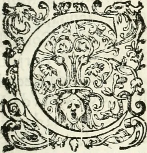 An illustration from Viagem da Catholica Real Magestade del Rey D. Filipe II N.S. ao Reyno de Portvgal e rellaçao do solene recebimento que nelle se lhe fez S. Magestade a mandou, 1621, leaf 10