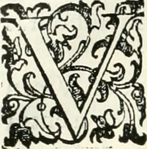 An illustration from Viagem da Catholica Real Magestade del Rey D. Filipe II N.S. ao Reyno de Portvgal e rellaçao do solene recebimento que nelle se lhe fez S. Magestade a mandou, 1621, leaf 25