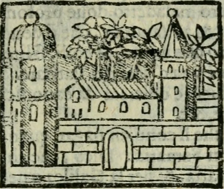 An illustration from Viaggio da Venetia al Santo Sepolcro, et al monte Sinai; col dissegno delle città, castelli, ville, chiese, monasterij, isole, porti, & fiumi, che sin là si ritrouano; et vna breue regola di quanto si dee osseruar nel detto viaggio, e quel che si paga da luoco à luoco, sì di dacij, come d'altre cose, 1606, leaf 102