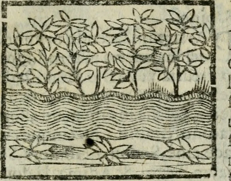 An illustration from Viaggio da Venetia al Santo Sepolcro, et al monte Sinai; col dissegno delle città, castelli, ville, chiese, monasterij, isole, porti, & fiumi, che sin là si ritrouano; et vna breue regola di quanto si dee osseruar nel detto viaggio, e quel che si paga da luoco à luoco, sì di dacij, come d'altre cose, 1606, leaf 120
