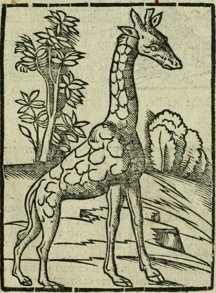An illustration from Viaggio da Venetia al Santo Sepolcro, et al monte Sinai; col dissegno delle città, castelli, ville, chiese, monasterij, isole, porti, & fiumi, che sin là si ritrouano; et vna breue regola di quanto si dee osseruar nel detto viaggio, e quel che si paga da luoco à luoco, sì di dacij, come d'altre cose, 1606, leaf 146