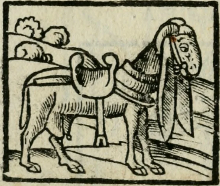 An illustration from Viaggio da Venetia al Santo Sepolcro, et al monte Sinai; col dissegno delle città, castelli, ville, chiese, monasterij, isole, porti, & fiumi, che sin là si ritrouano; et vna breue regola di quanto si dee osseruar nel detto viaggio, e quel che si paga da luoco à luoco, sì di dacij, come d'altre cose, 1606, leaf 147