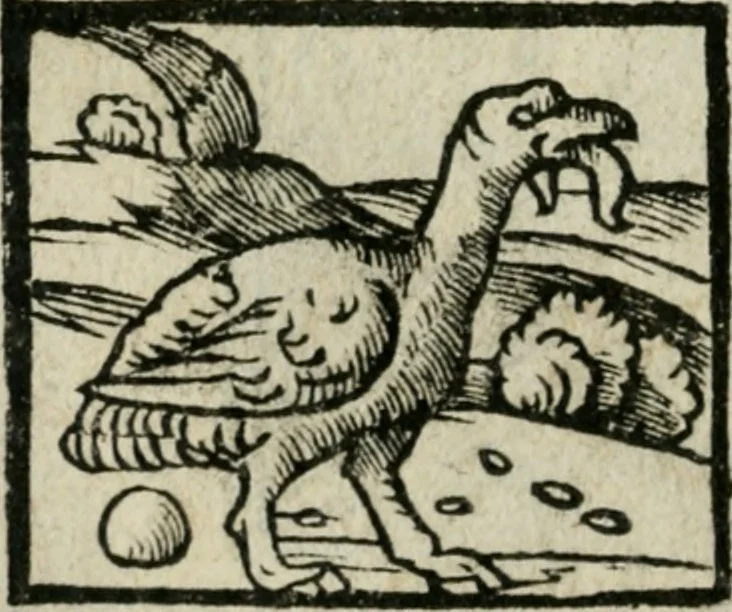 An illustration from Viaggio da Venetia al Santo Sepolcro, et al monte Sinai; col dissegno delle città, castelli, ville, chiese, monasterij, isole, porti, & fiumi, che sin là si ritrouano; et vna breue regola di quanto si dee osseruar nel detto viaggio, e quel che si paga da luoco à luoco, sì di dacij, come d'altre cose, 1606, leaf 147