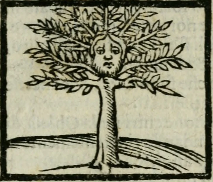 An illustration from Viaggio da Venetia al Santo Sepolcro, et al monte Sinai; col dissegno delle città, castelli, ville, chiese, monasterij, isole, porti, & fiumi, che sin là si ritrouano; et vna breue regola di quanto si dee osseruar nel detto viaggio, e quel che si paga da luoco à luoco, sì di dacij, come d'altre cose, 1606, leaf 164