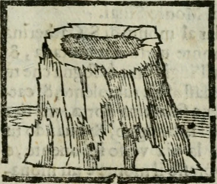 An illustration from Viaggio da Venetia al Santo Sepolcro, et al monte Sinai; col dissegno delle città, castelli, ville, chiese, monasterij, isole, porti, & fiumi, che sin là si ritrouano; et vna breue regola di quanto si dee osseruar nel detto viaggio, e quel che si paga da luoco à luoco, sì di dacij, come d'altre cose, 1606, leaf 166