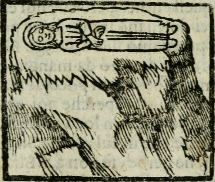 An illustration from Viaggio da Venetia al Santo Sepolcro, et al monte Sinai; col dissegno delle città, castelli, ville, chiese, monasterij, isole, porti, & fiumi, che sin là si ritrouano; et vna breue regola di quanto si dee osseruar nel detto viaggio, e quel che si paga da luoco à luoco, sì di dacij, come d'altre cose, 1606, leaf 168