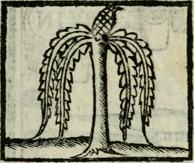 An illustration from Viaggio da Venetia al Santo Sepolcro, et al monte Sinai; col dissegno delle città, castelli, ville, chiese, monasterij, isole, porti, & fiumi, che sin là si ritrouano; et vna breue regola di quanto si dee osseruar nel detto viaggio, e quel che si paga da luoco à luoco, sì di dacij, come d'altre cose, 1606, leaf 176