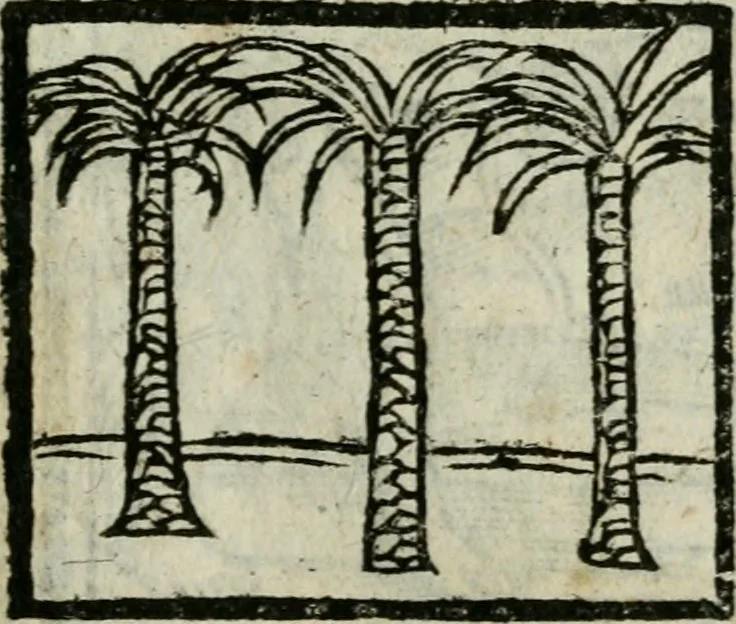 An illustration from Viaggio da Venetia al Santo Sepolcro, et al monte Sinai; col dissegno delle città, castelli, ville, chiese, monasterij, isole, porti, & fiumi, che sin là si ritrouano; et vna breue regola di quanto si dee osseruar nel detto viaggio, e quel che si paga da luoco à luoco, sì di dacij, come d'altre cose, 1606, leaf 176