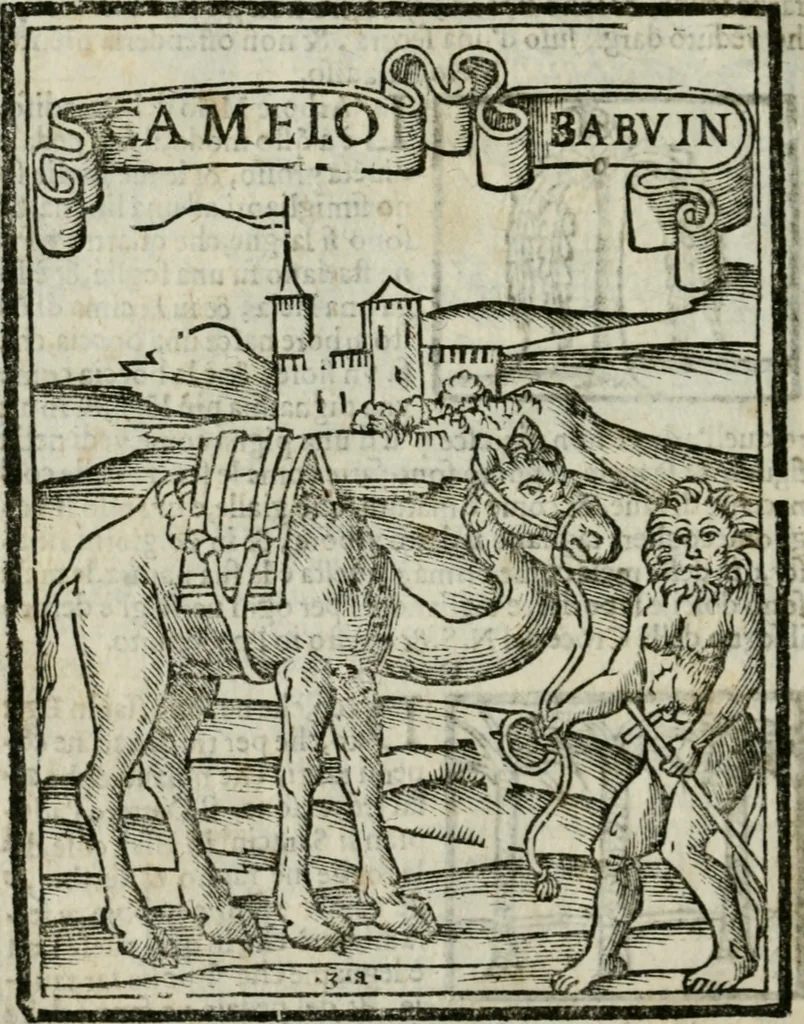 An illustration from Viaggio da Venetia al Santo Sepolcro, et al monte Sinai; col dissegno delle città, castelli, ville, chiese, monasterij, isole, porti, & fiumi, che sin là si ritrouano; et vna breue regola di quanto si dee osseruar nel detto viaggio, e quel che si paga da luoco à luoco, sì di dacij, come d'altre cose, 1606, leaf 177
