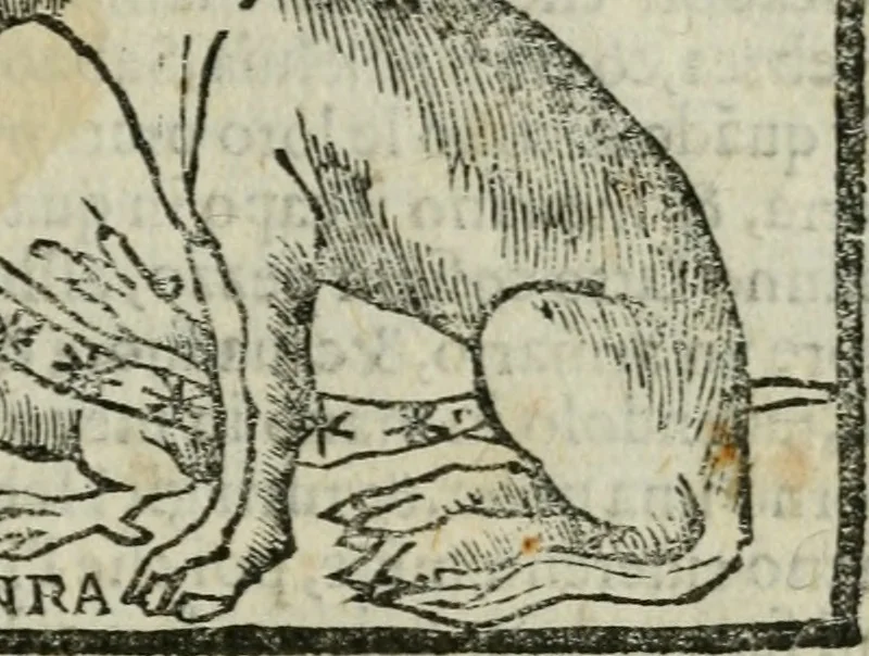 An illustration from Viaggio da Venetia al Santo Sepolcro, et al monte Sinai; col dissegno delle città, castelli, ville, chiese, monasterij, isole, porti, & fiumi, che sin là si ritrouano; et vna breue regola di quanto si dee osseruar nel detto viaggio, e quel che si paga da luoco à luoco, sì di dacij, come d'altre cose, 1606, leaf 178