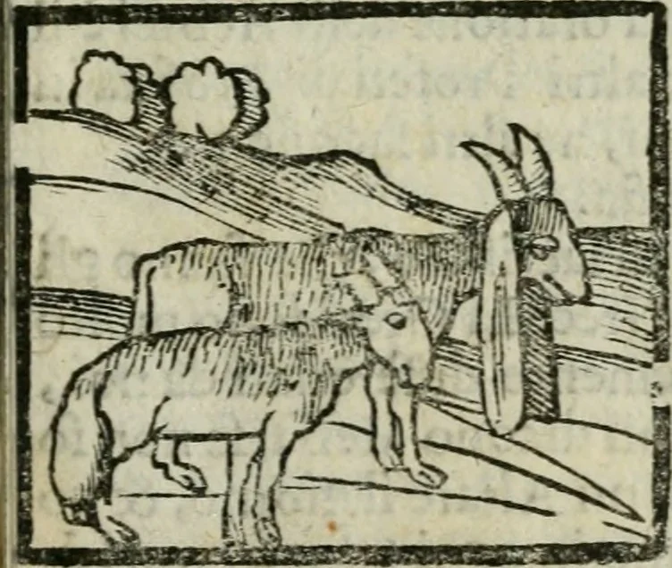 An illustration from Viaggio da Venetia al Santo Sepolcro, et al monte Sinai; col dissegno delle città, castelli, ville, chiese, monasterij, isole, porti, & fiumi, che sin là si ritrouano; et vna breue regola di quanto si dee osseruar nel detto viaggio, e quel che si paga da luoco à luoco, sì di dacij, come d'altre cose, 1606, leaf 178