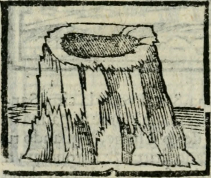 An illustration from Viaggio da Venetia al Santo Sepolcro, et al monte Sinai; col dissegno delle città, castelli, ville, chiese, monasterij, isole, porti, & fiumi, che sin là si ritrouano; et vna breue regola di quanto si dee osseruar nel detto viaggio, e quel che si paga da luoco à luoco, sì di dacij, come d'altre cose, 1606, leaf 33