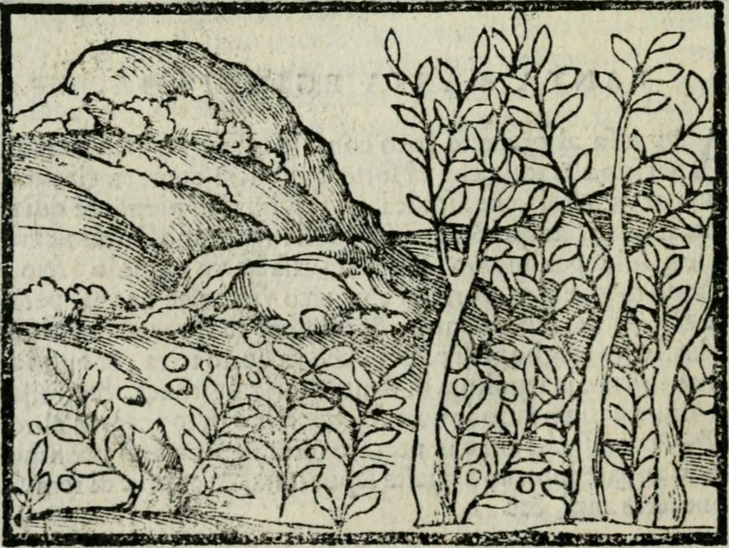 An illustration from Viaggio da Venetia al Santo Sepolcro, et al monte Sinai; col dissegno delle città, castelli, ville, chiese, monasterij, isole, porti, & fiumi, che sin là si ritrouano; et vna breue regola di quanto si dee osseruar nel detto viaggio, e quel che si paga da luoco à luoco, sì di dacij, come d'altre cose, 1606, leaf 77