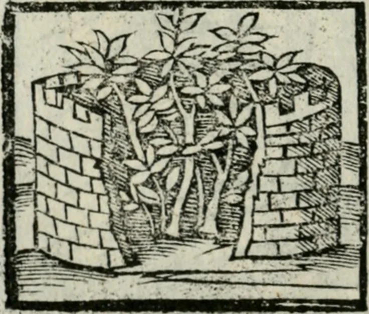 An illustration from Viaggio da Venetia al Santo Sepolcro, et al monte Sinai; col dissegno delle città, castelli, ville, chiese, monasterij, isole, porti, & fiumi, che sin là si ritrouano; et vna breue regola di quanto si dee osseruar nel detto viaggio, e quel che si paga da luoco à luoco, sì di dacij, come d'altre cose, 1606, leaf 79