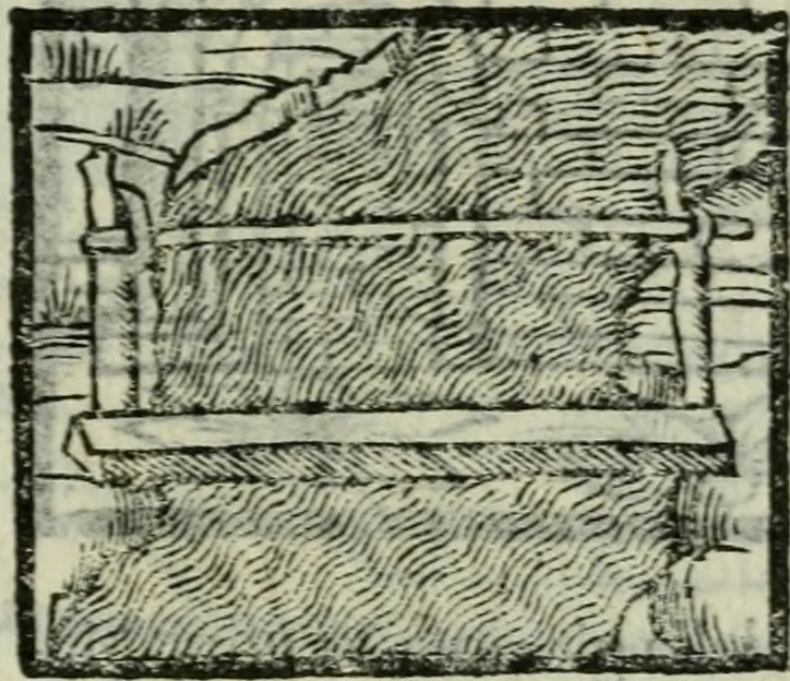 An illustration from Viaggio da Venetia al Santo Sepolcro, et al monte Sinai; col dissegno delle città, castelli, ville, chiese, monasterij, isole, porti, & fiumi, che sin là si ritrouano; et vna breue regola di quanto si dee osseruar nel detto viaggio, e quel che si paga da luoco à luoco, sì di dacij, come d'altre cose, 1606, leaf 80