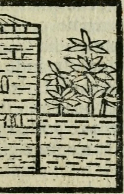 An illustration from Viaggio da Venetia al Santo Sepolcro, et al monte Sinai; col dissegno delle città, castelli, ville, chiese, monasterij, isole, porti, & fiumi, che sin là si ritrouano; et vna breue regola di quanto si dee osseruar nel detto viaggio, e quel che si paga da luoco à luoco, sì di dacij, come d'altre cose, 1606, leaf 98