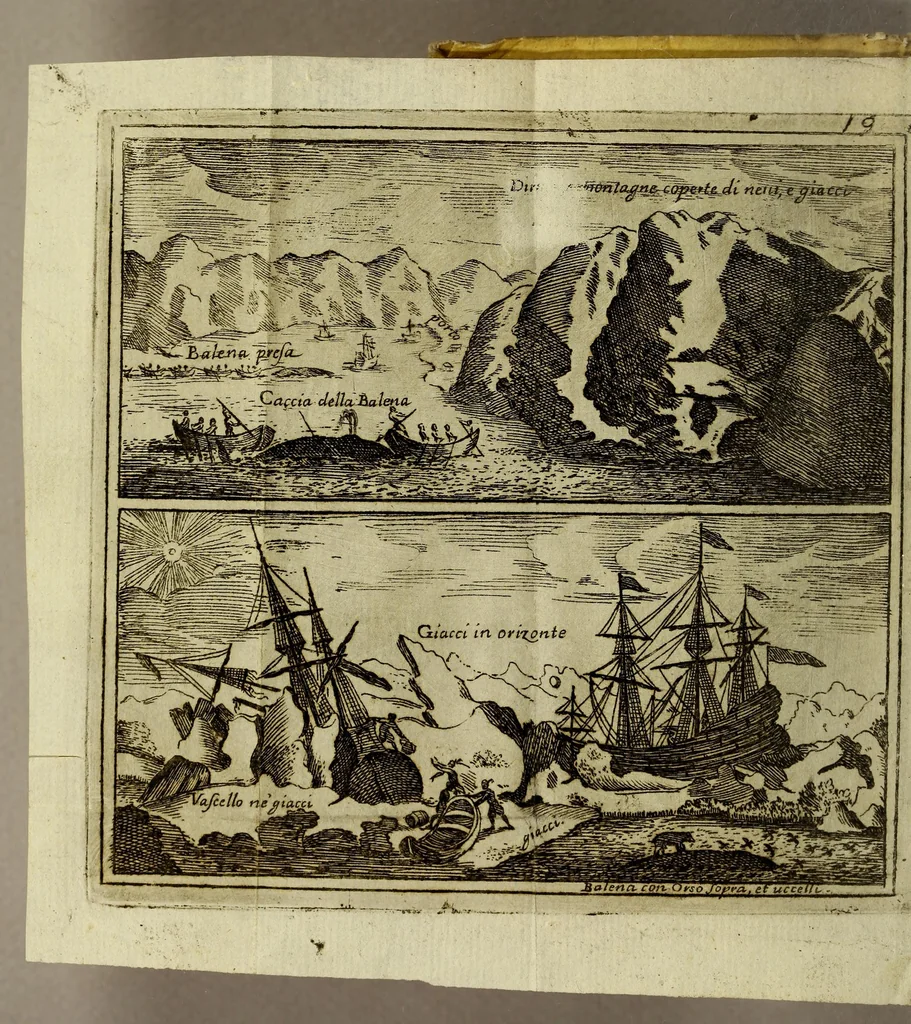 An illustration from Viaggio di Spizberga o' Gronlanda fatto da Federico Martens amburghese l'anno 1671. : Que si descriuono que' remotissimi paesi del settentrione sotto gli 81. gradi, ne' quali soggiorna il sole per lo spazio di tre mesi intieri. Con vna copiosa relazione di quell' aggiacciato clima, e de gli vccelli, quadrupedi, pesci, e piante rare, che vi nascono, colla descrizione delle balene, e lor pesca., 1680, leaf 26