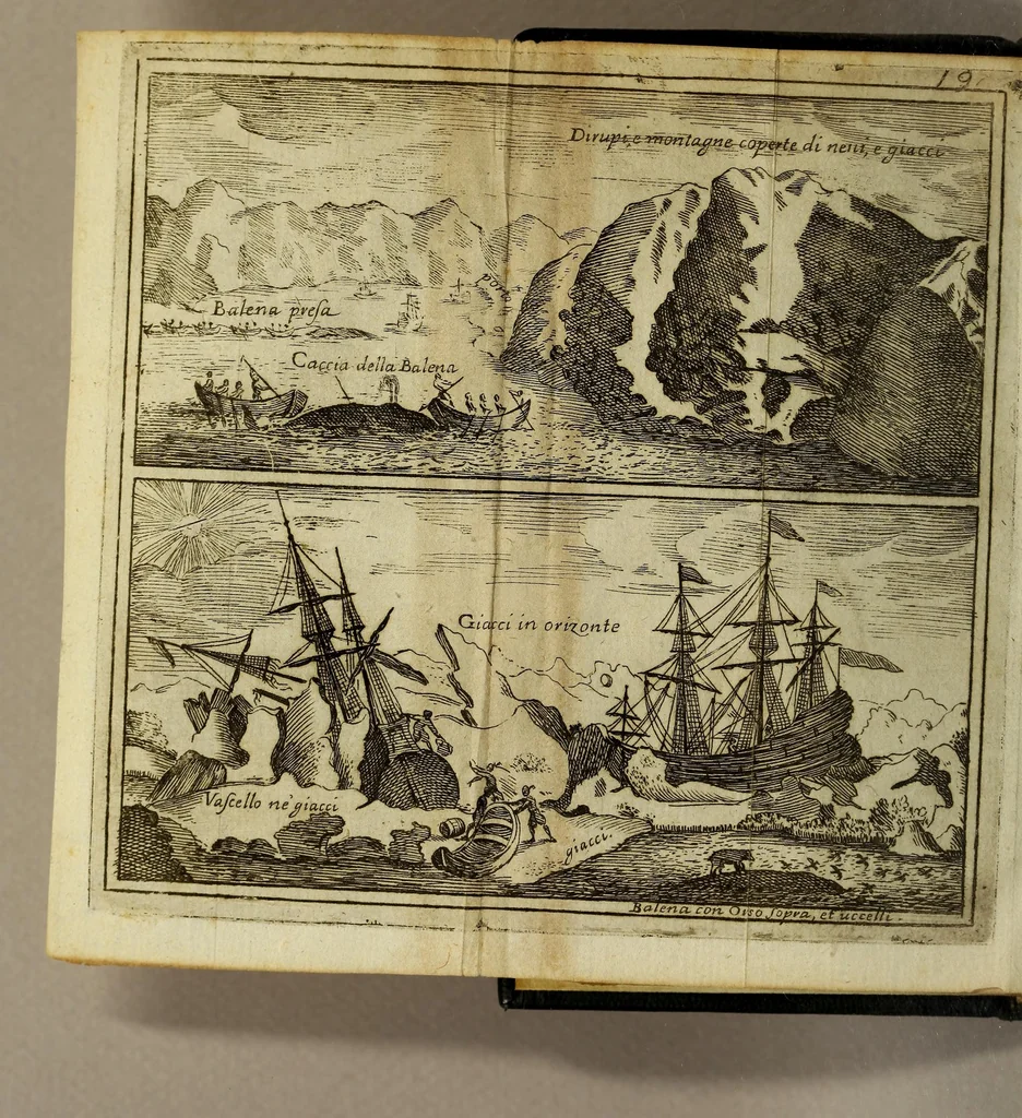 An illustration from Viaggio di Spizberga o' Gronlanda fatto da Federico Martens amburghese l'anno 1671. : Que si descriuono que' remotissimi paesi del settentrione sotto gli 81. gradi, ne' quali soggiorna il sole per lo spazio di tre mesi intieri. Con vna copiosa relazione di quell' aggiacciato clima, e de gli vccelli, quadrupedi, pesci, e piante rare, che vi nascono, colla descrizione delle balene, e lor pesca., 1680, leaf 26