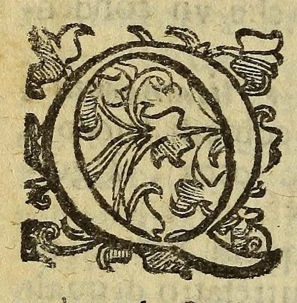 An illustration from Viaggio di Spizberga o' Grolanda [sic] fatto da Federico Martens amburghese l'anno 1671. : Que si descriuono que' remotissimi paesi del settentrione sotto gli 81. gradi, ne' quali soggiorna il sole per lo spazio di tre mesi intieri. Con vna copiosa relatione di quell' aggiacciato clima, e de gli vccelli, quadrupedi, pesci, e piante rare, che vi nascono, colla descritione delle balene, e lor pesca., 1680, leaf 264